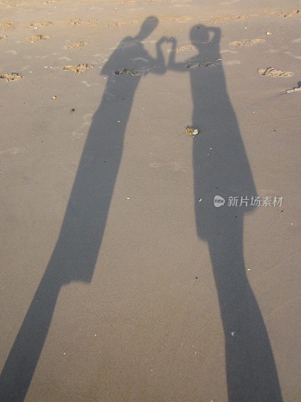 沙滩上情侣的剪影。