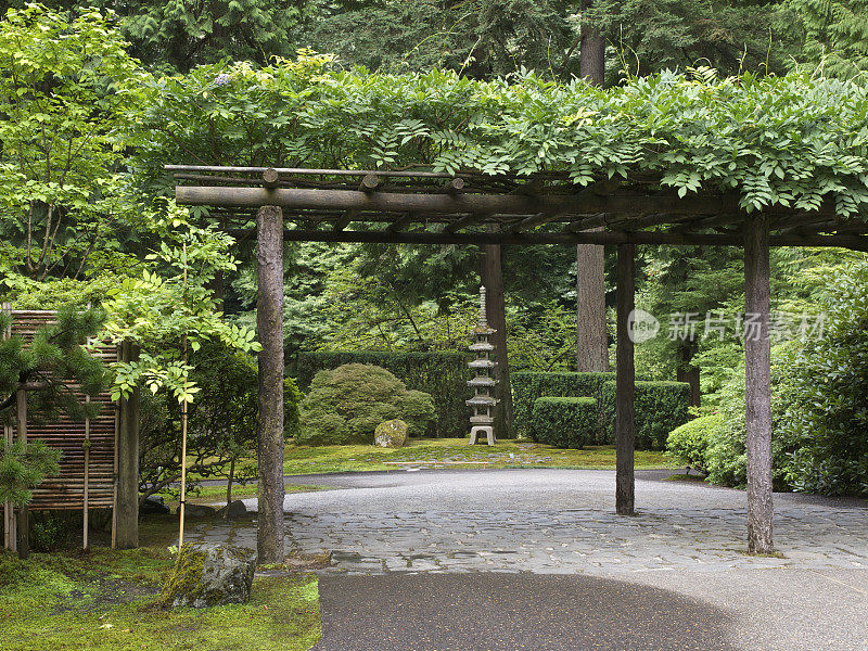 日本花园夏季Arbor札幌紫藤宝塔俄勒冈州波特兰