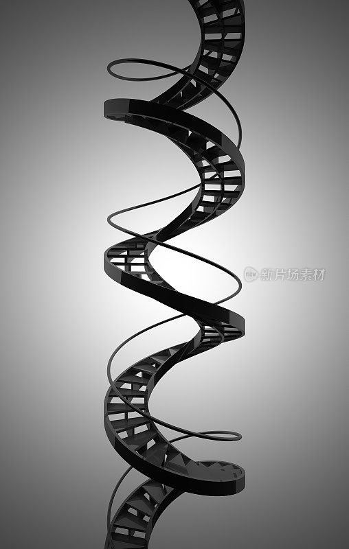 类似DNA的螺旋楼梯
