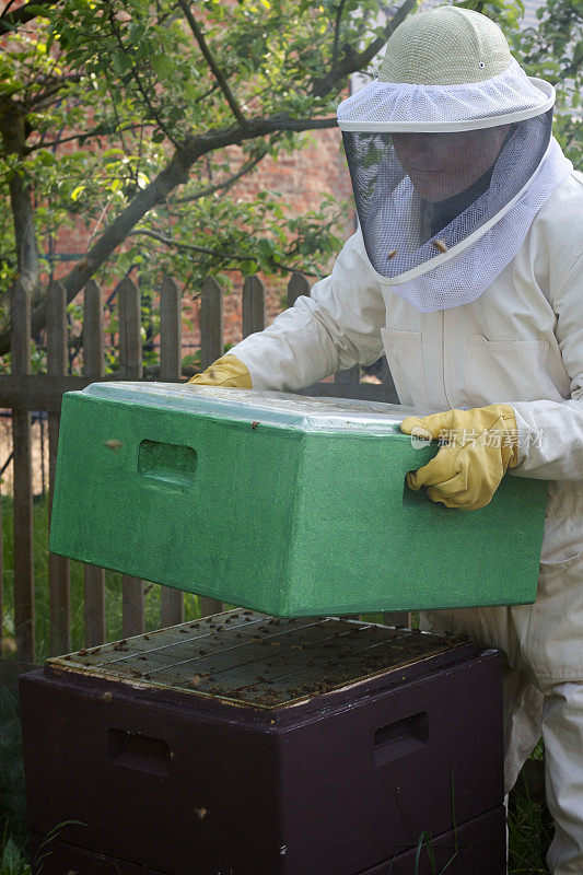 园丁的现代爱好:养蜂人和蜂箱