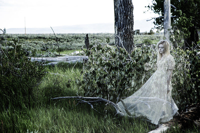 小说人物:透明的，阴魂不散的森林女鬼。白色礼服。