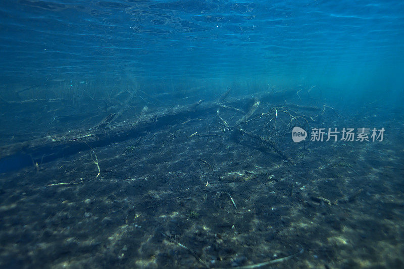 水下风景