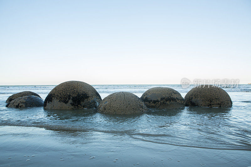 新西兰南岛黄昏冲浪中的莫拉基巨石