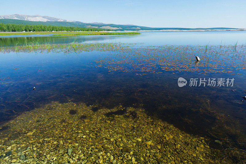蒙古的Khovsgol湖