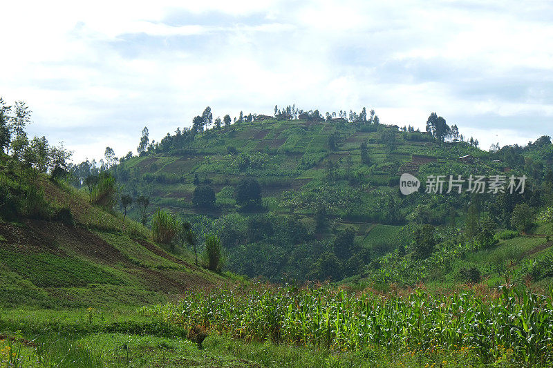 卢旺达:该国北部的风景(Ruhengeri)