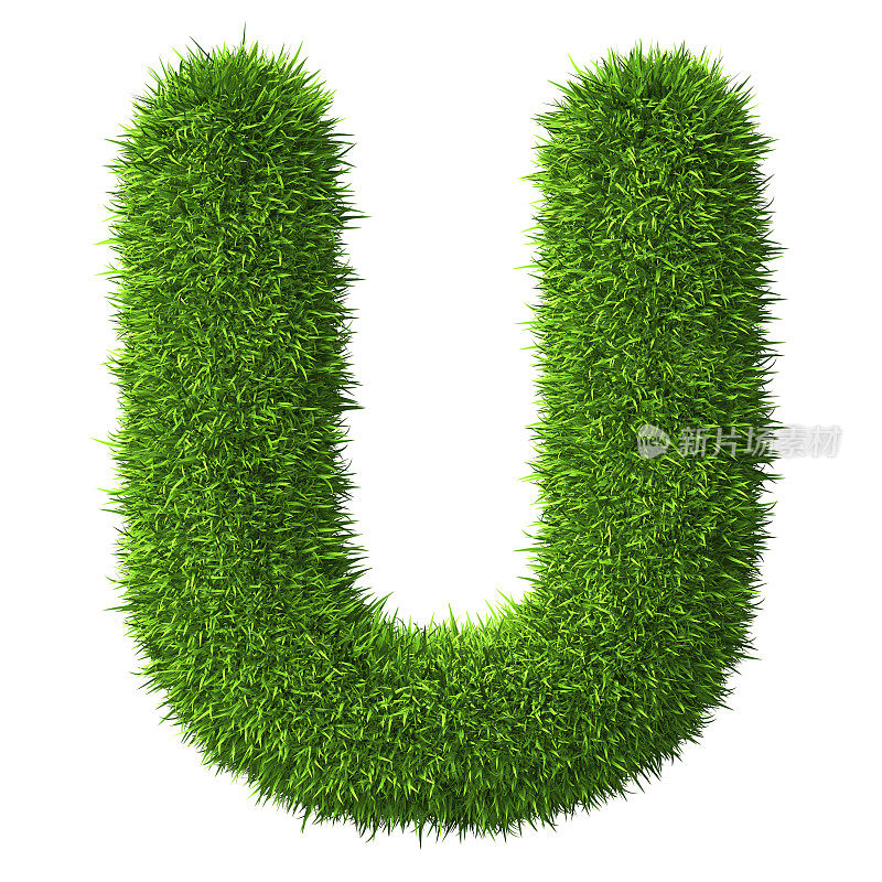 字母U的草