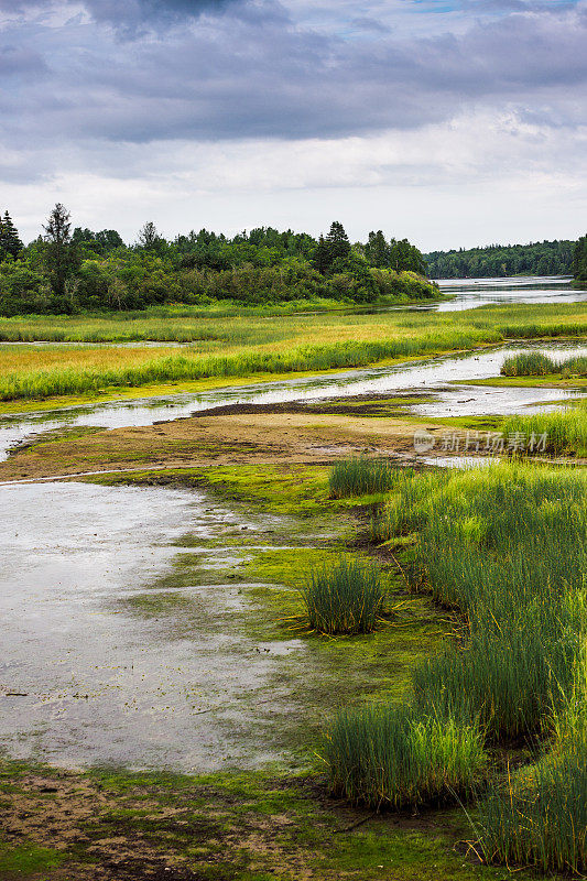 Kouchibouguac国家公园湿地