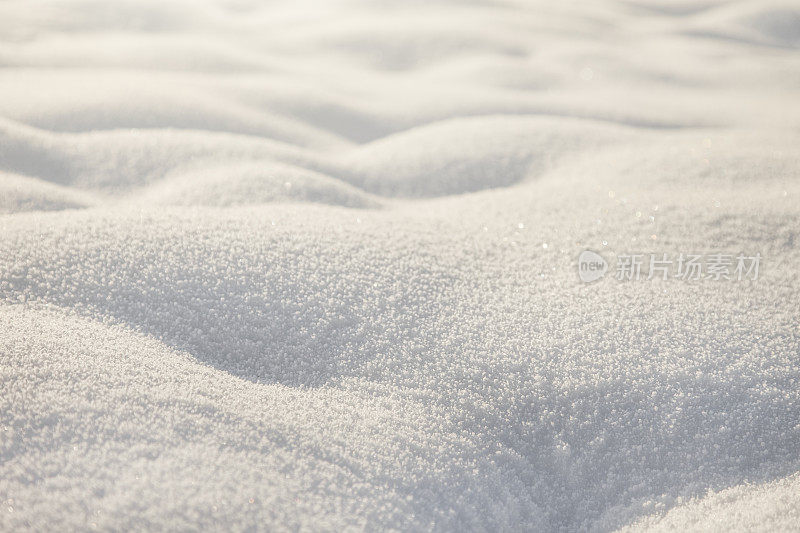 雪特写