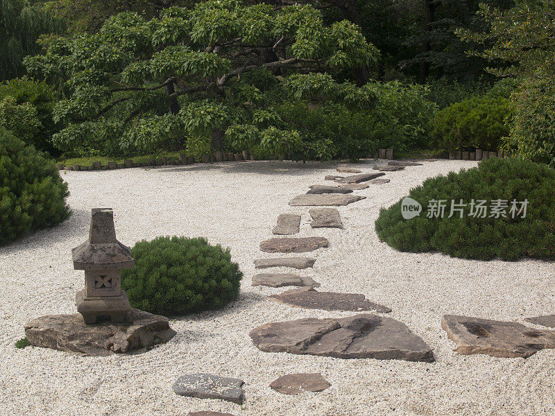 日本禅宗花园中的绿色灌木和石头小径