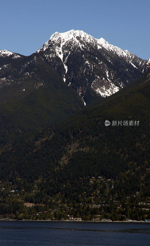 森林山坡上