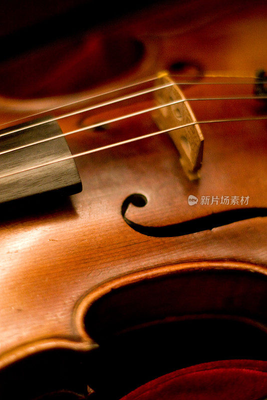 小提琴03