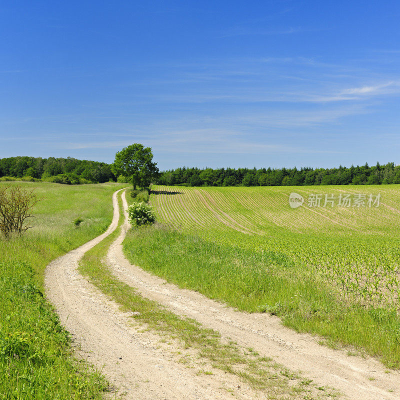 乡村景观与蜿蜒的农场道路穿过田野和森林