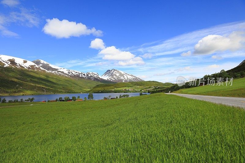 挪威，斯堪的那维亚的乡村草地和公路