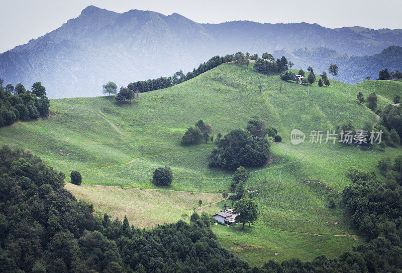 山上的森林和牧场