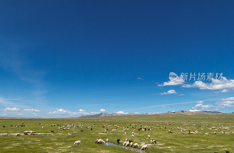 美丽的台阶上的蒙古山