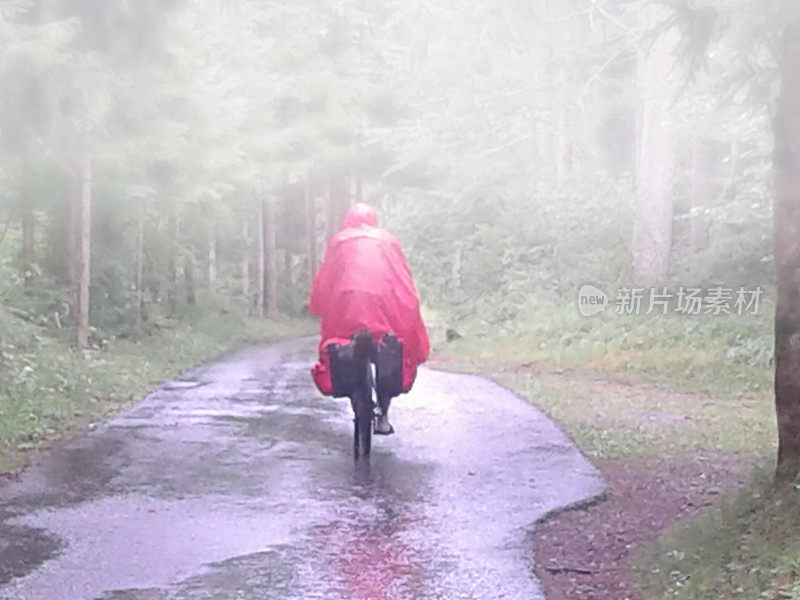 在雨和雾中骑车穿过森林