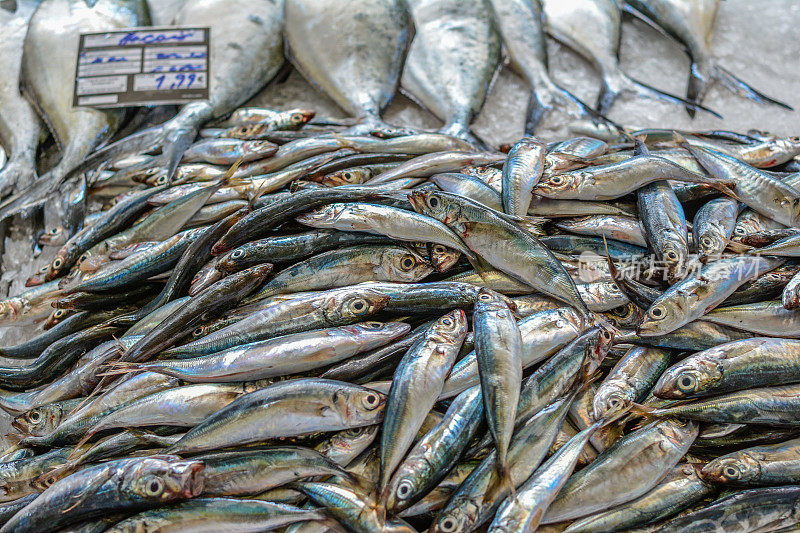 芬查尔马德拉市场上的鱼