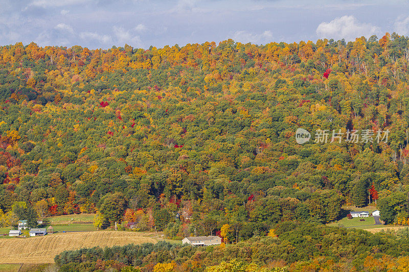 在秋天壮丽的宾夕法尼亚山的观点