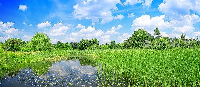 33Mpix夏季景观全景