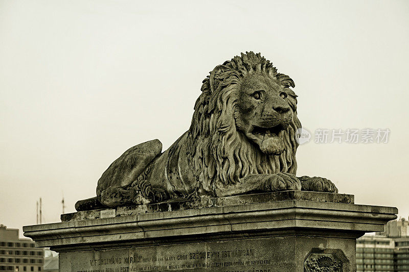 链条桥布达佩斯的狮子细节