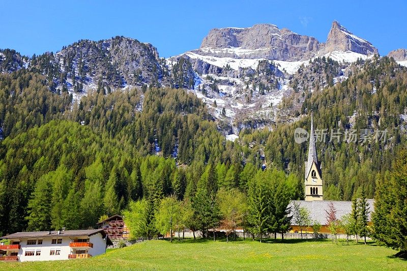 白云石高山景观，绿色松树山谷，科尔蒂纳，南泰洛