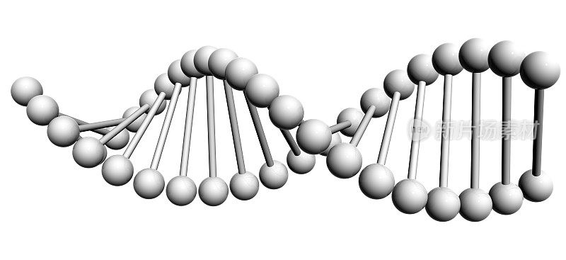 一个DNA链的白色3D模型
