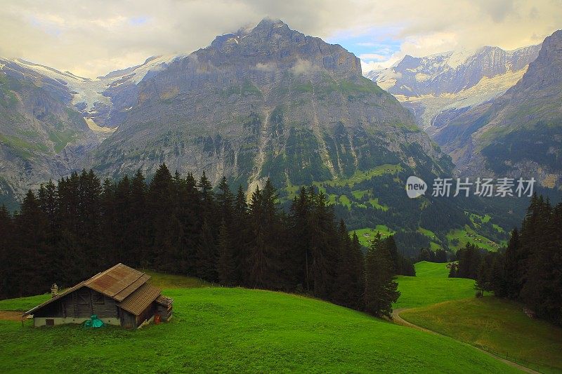 格林德沃山谷的乡村农场，Wetterhorn景观，瑞士阿尔卑斯山