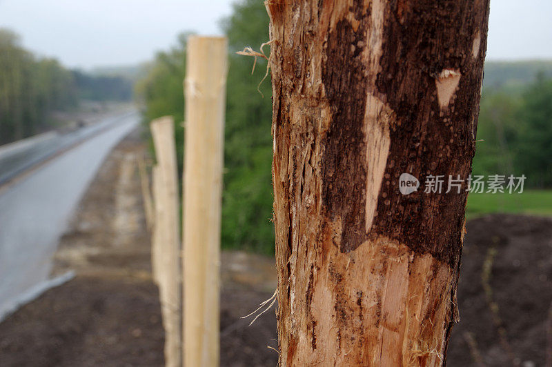 在乡村公路旁准备建一道新栅栏