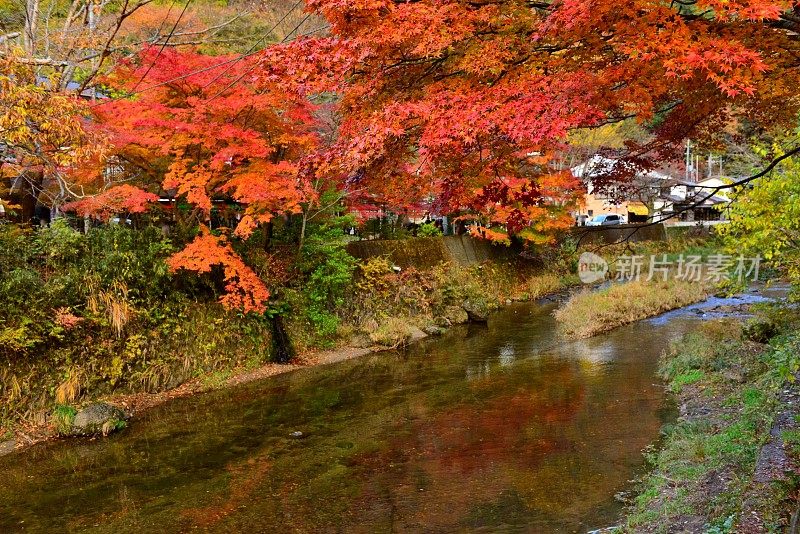 日本福田县瀑布下游的落叶