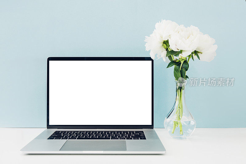 白色空白屏幕的笔记本电脑，蓝色背景桌上花瓶里的鲜花。模拟了