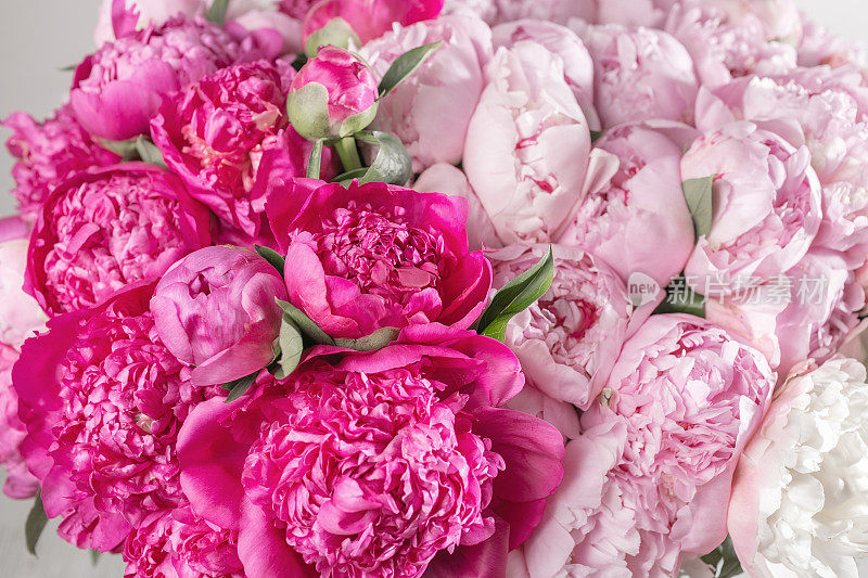 一束淡雅的粉红色牡丹近距离观赏。适合任何节日的美丽花朵。花店里有很多漂亮浪漫的花。