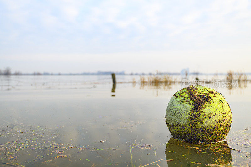 IJssel河溢流区洪水过后的塑料垃圾