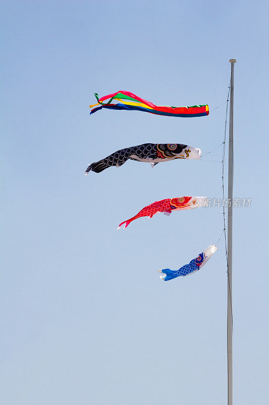 Koinobori,鲤鱼等浮电缆