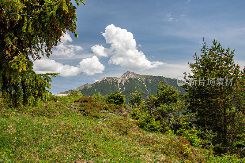 奥地利阿尔卑斯山脉和繁茂的树叶