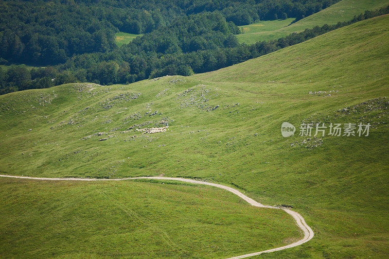 夏天高山中的乡间小路