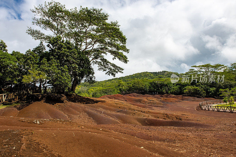 在Chamarel，毛里求斯的七彩土地和雨林。