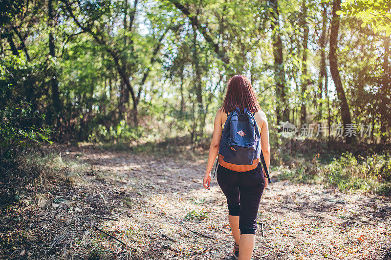 背包女旅行者在森林里行走。