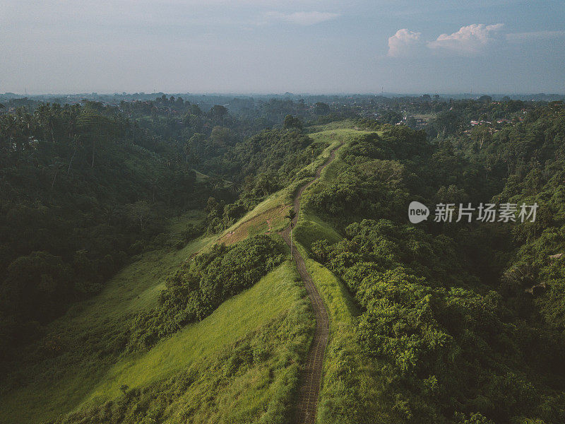 无人机拍摄航拍Campuhan山脊漫步在稻田-乌布，巴厘岛-印度尼西亚