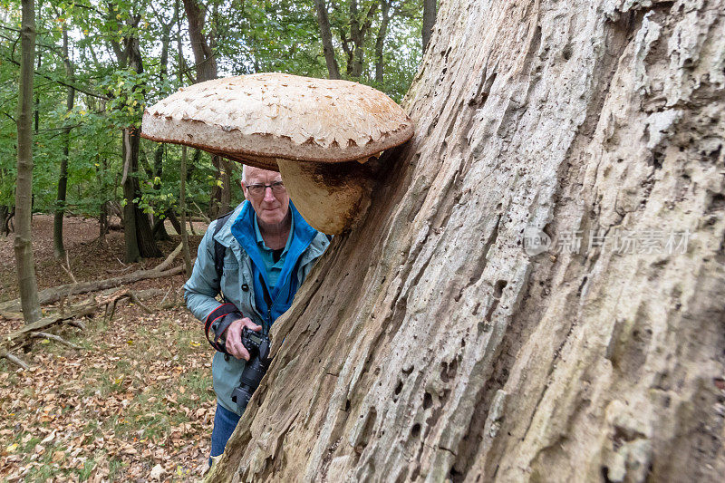 大四男拍摄广角效果的巨型真菌。