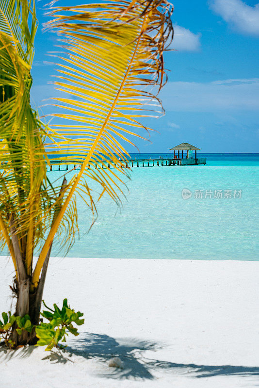 马尔代夫南阿里环礁迪夫西度假岛的热带天堂