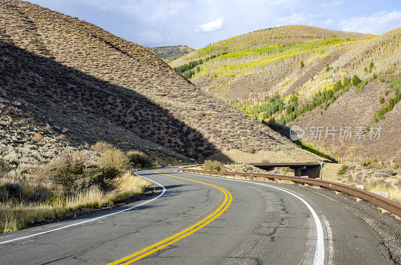 穿越科罗拉多落基山脉的白杨树的道路