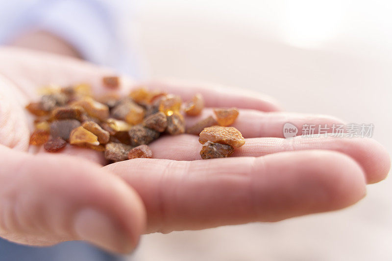 女人手里拿着在波罗的海海边采摘的小琥珀。特写照片。