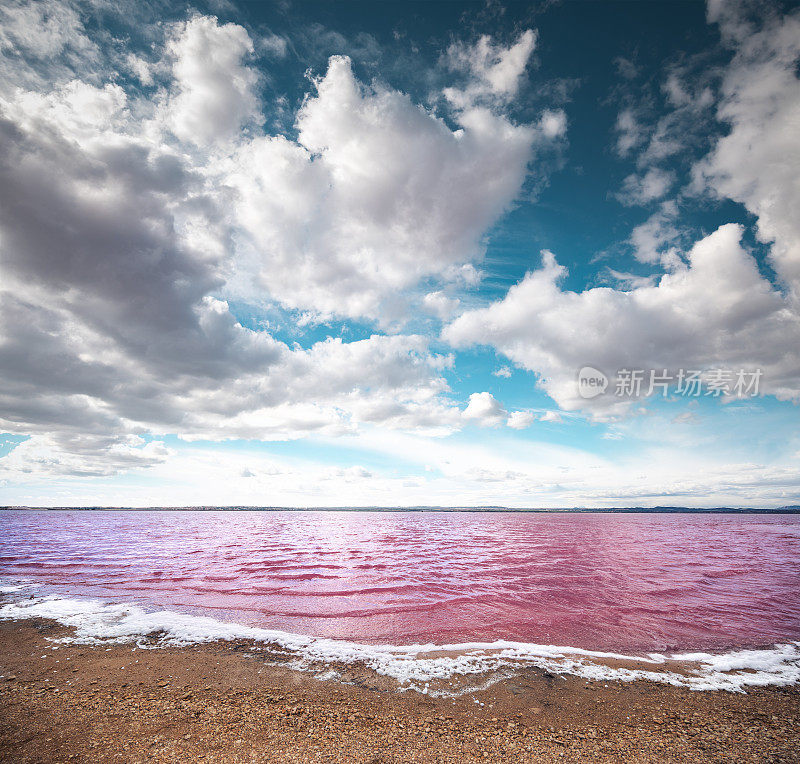 托雷维哈的粉色湖