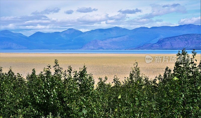 空地区的克卢恩湖湿地