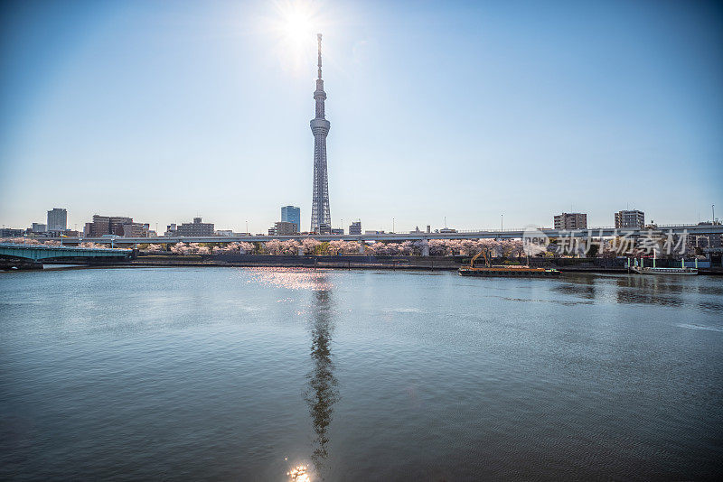 东京天空树大厦和隅田河城市景观