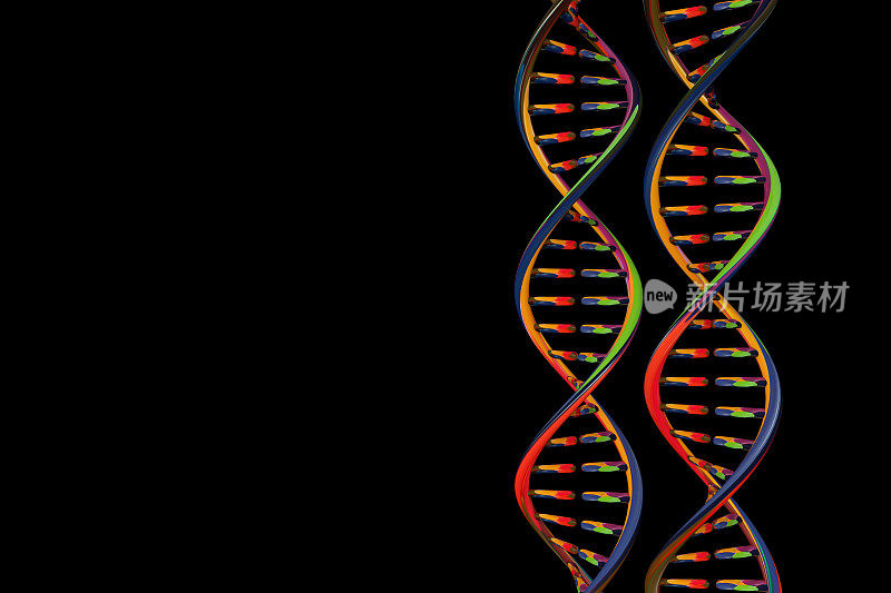 dna分子生物化学的概念