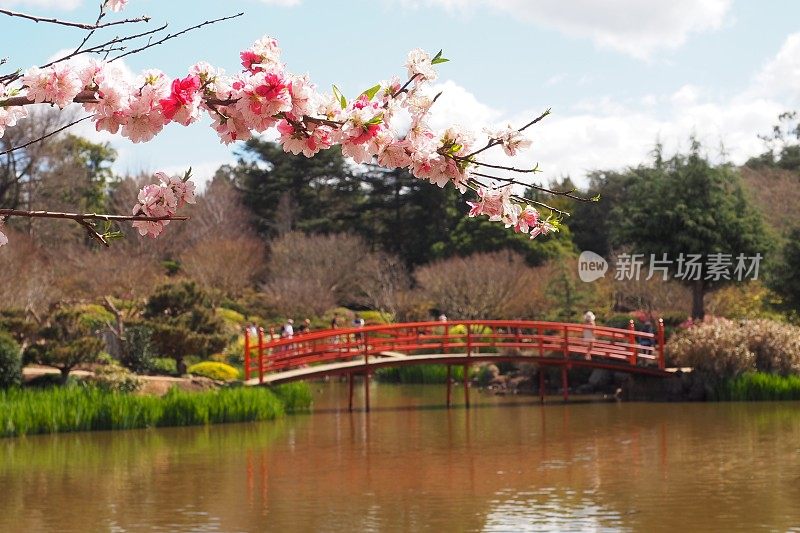 图文巴的日本花园