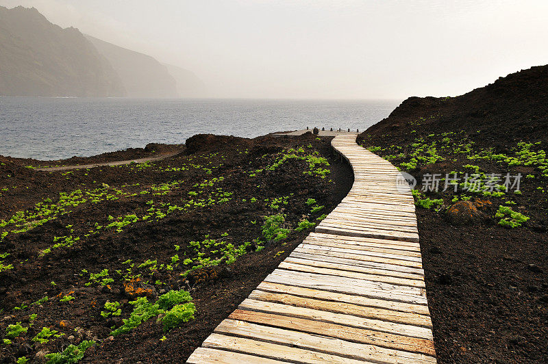 西班牙，加那利群岛，特内里费岛，通往海滩的木板路