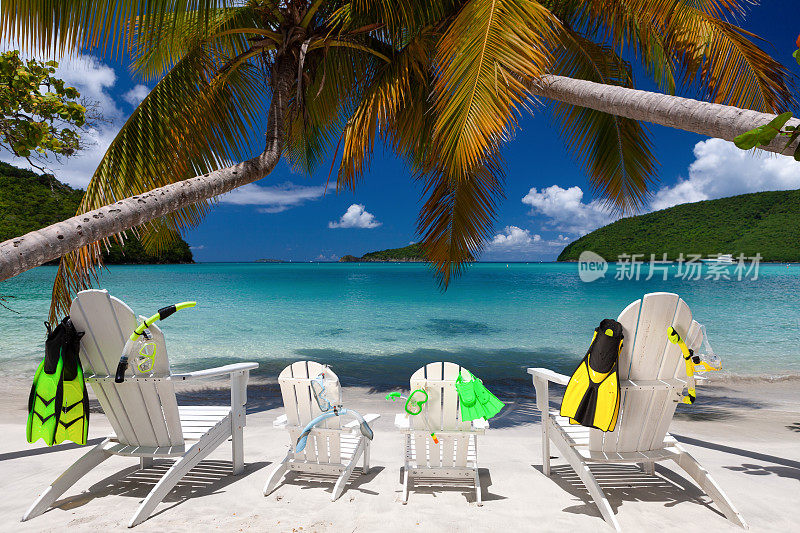 阿迪朗达克椅子和棕榈树与浮潜装备在热带海滩上