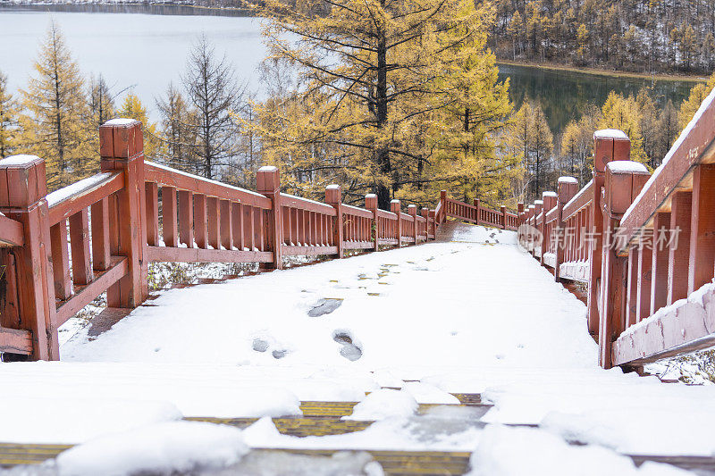 湖边树林里的木质楼梯上覆盖着积雪和脚印